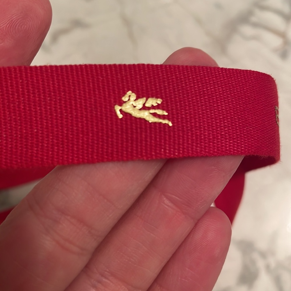 Etro Ribbon 🎀 9&” - Picture 4 of 7